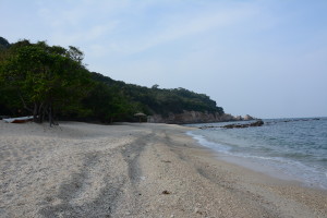 coral cove beach