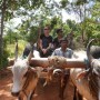 Village Trekking Tours in Sri Lanka – Hiriwaduna