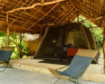 Palpatha Eco Safari Lodge