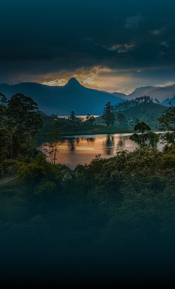 Top 10 Must Visit Places in Sri Lanka