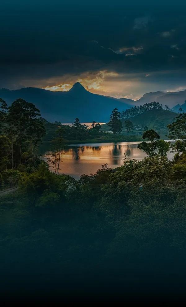 Top 10 Must Visit Places in Sri Lanka