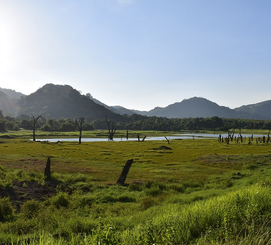 Gal Oya National Park