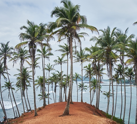Mirissa Beach