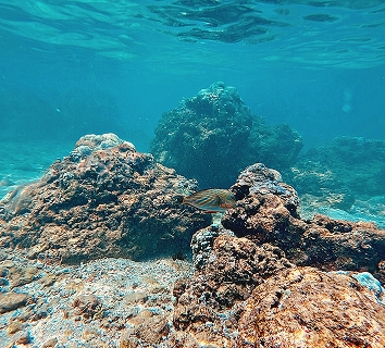 Hikkaduwa Coral Sanctuary
