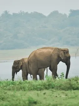 Nature Parks & Reserves