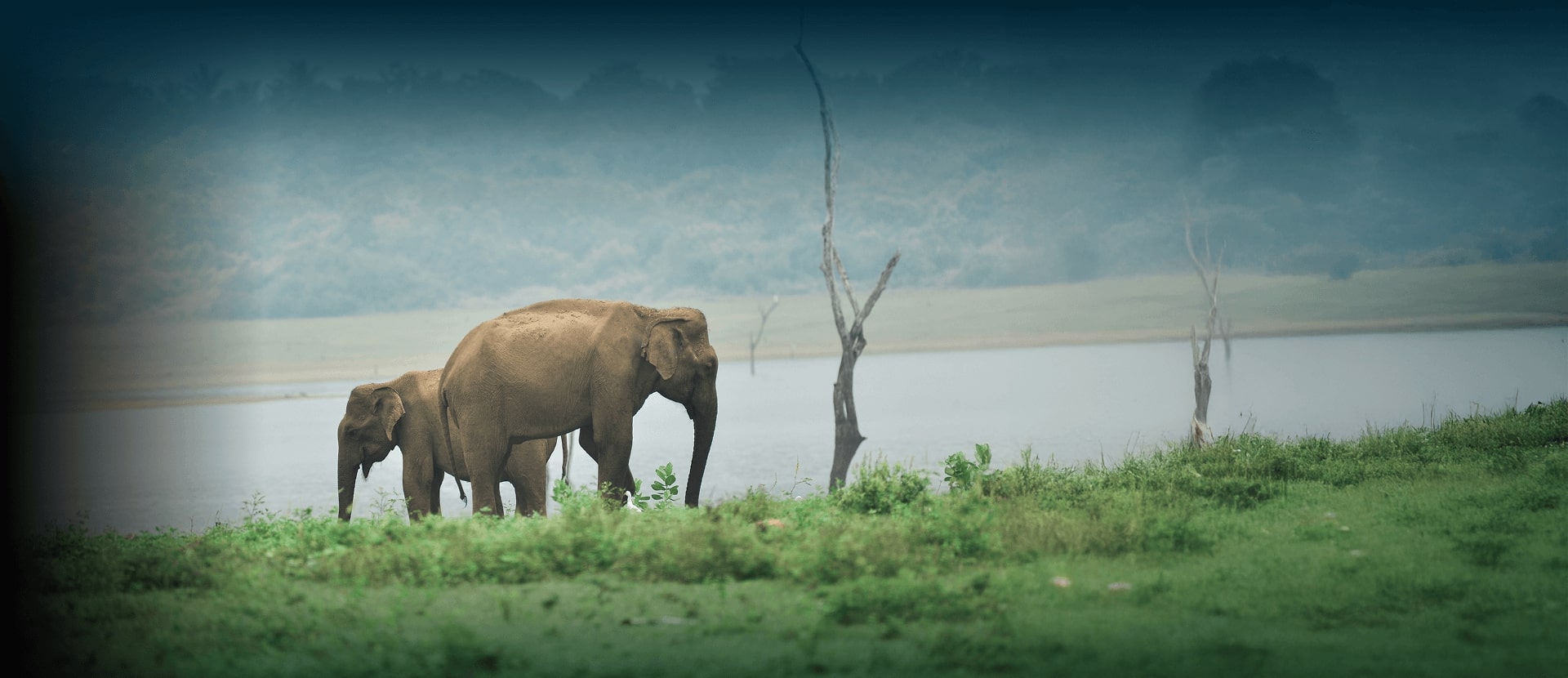 Nature Parks & Reserves