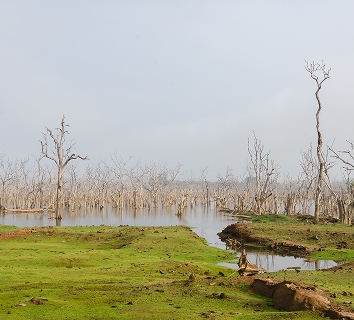 Lunugamvehera National Park