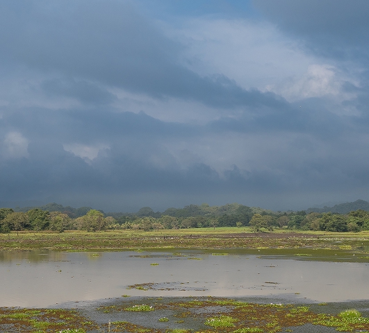 Wasgamuwa National Park