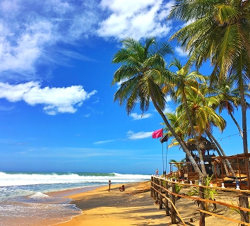 Arugam Bay