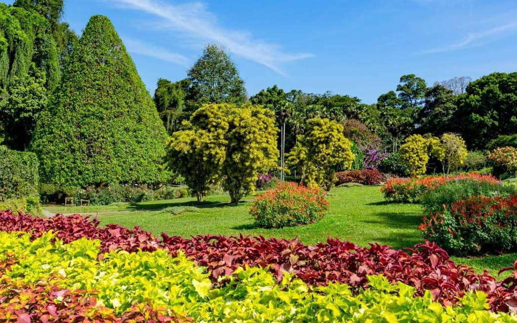 Peradeniya Botanical Garden